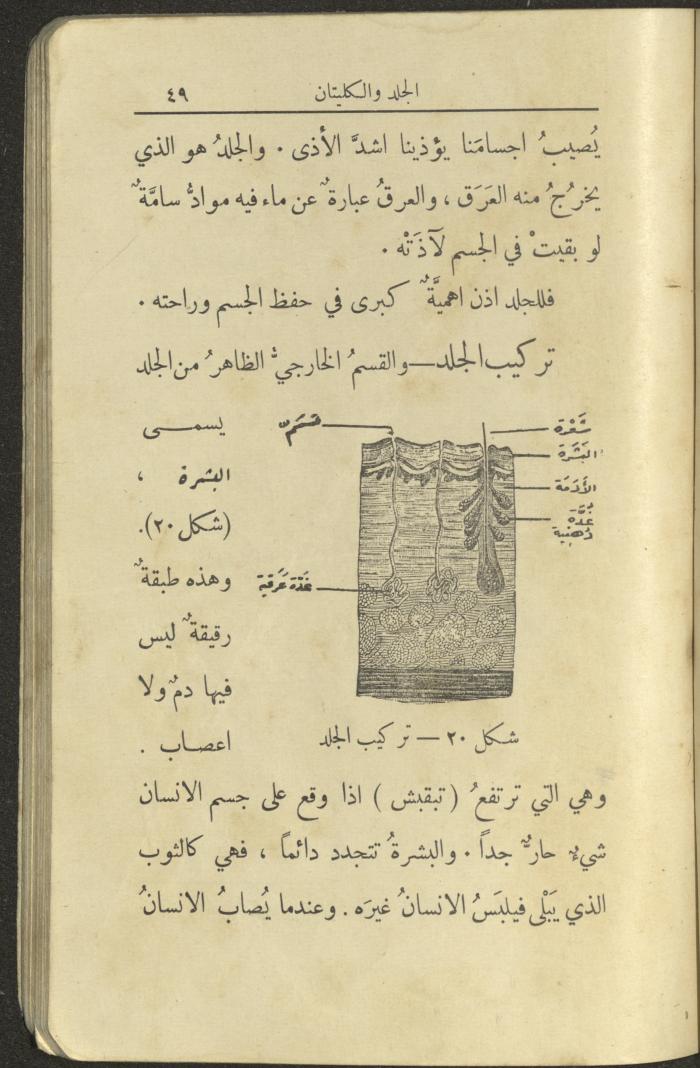 الجزء الثاني من كتاب 