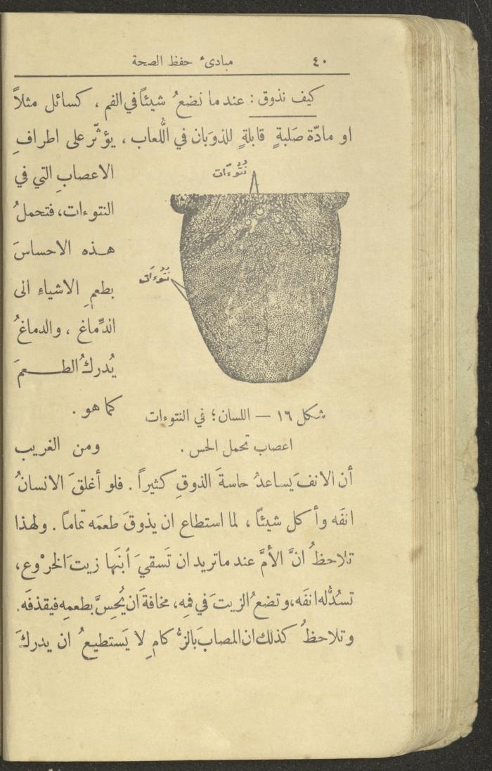 الجزء الثاني من كتاب 