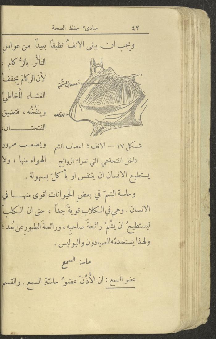 الجزء الثاني من كتاب 
