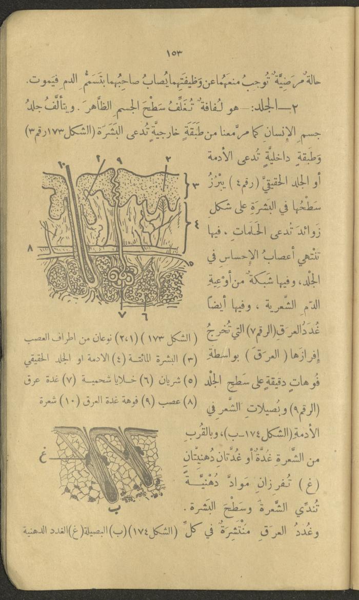 Volume III of the Book 