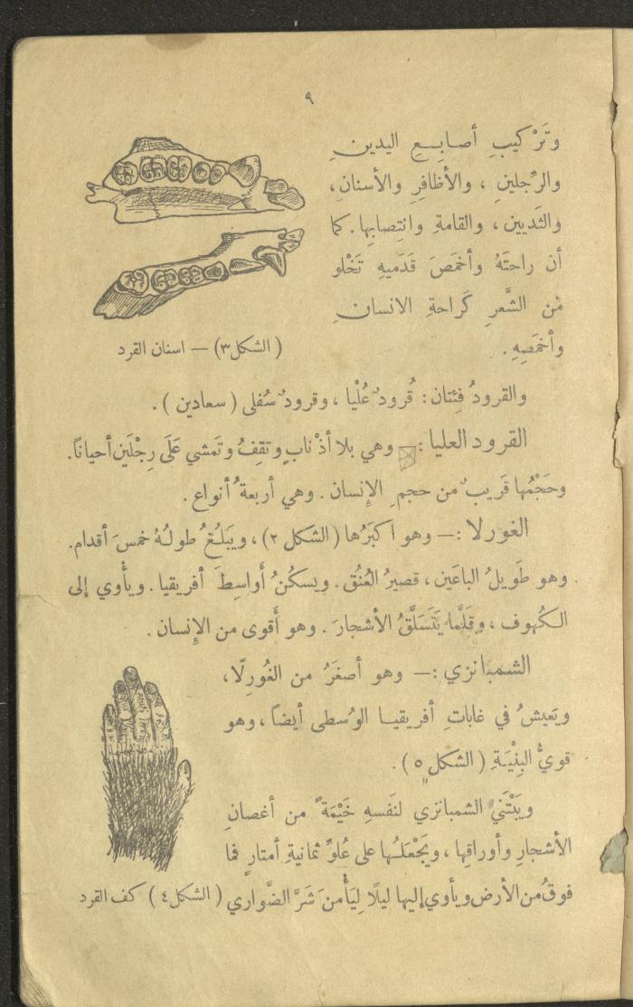 Volume III of the Book 