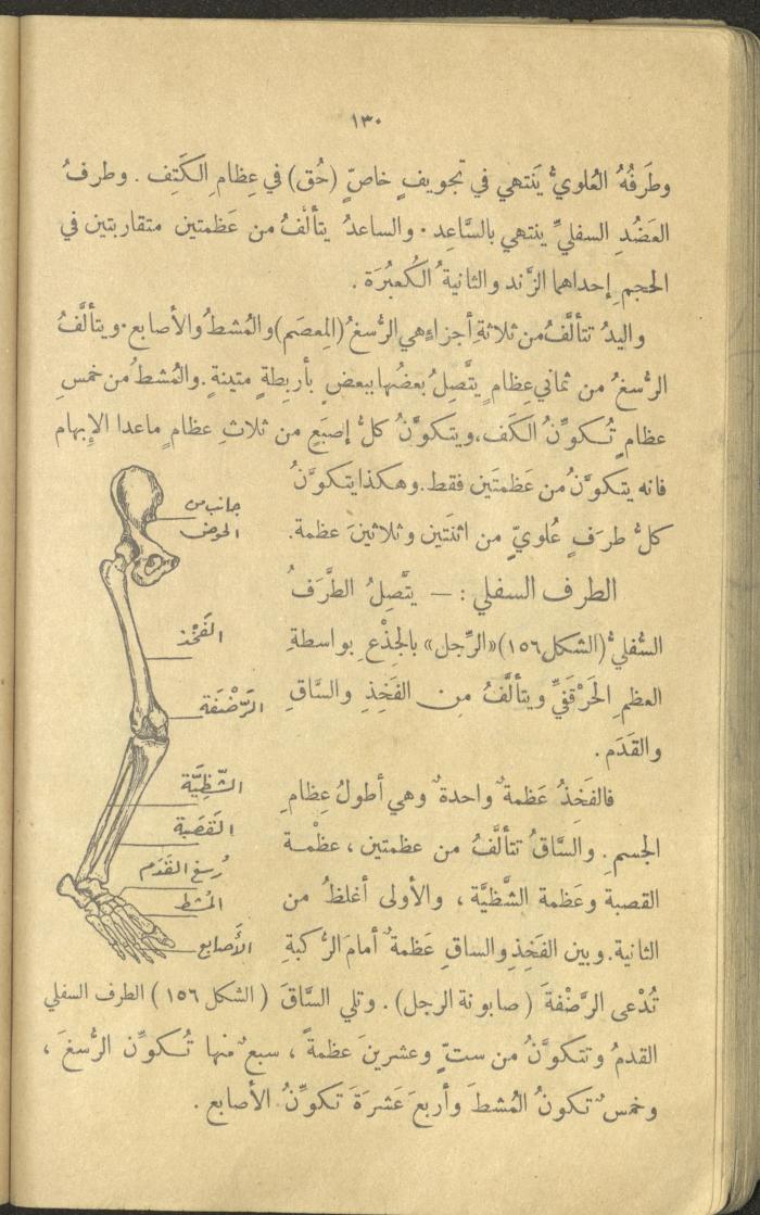 Volume III of the Book 