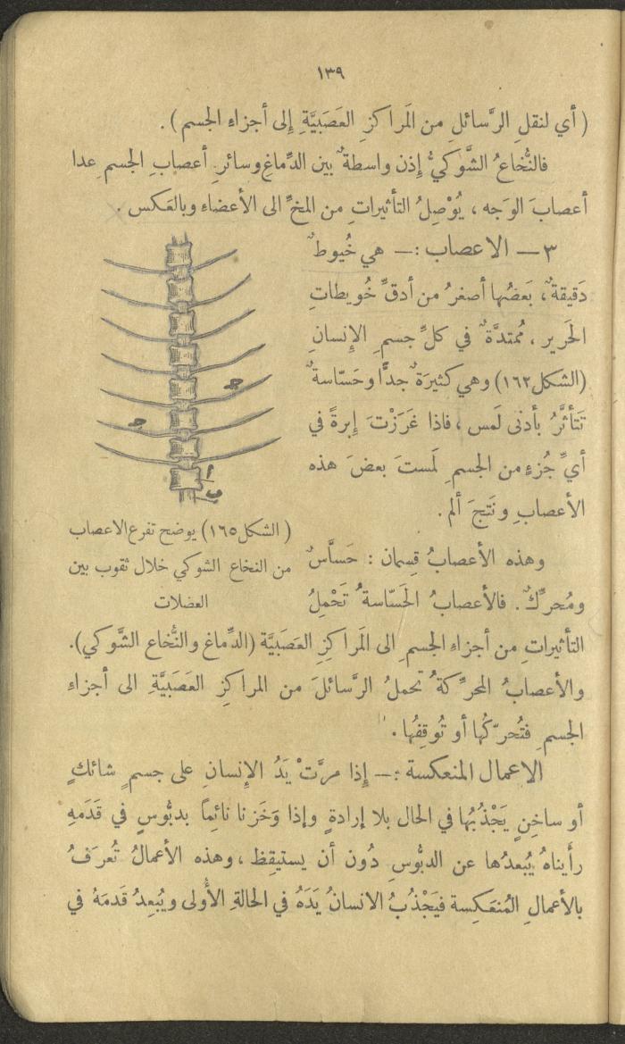 Volume III of the Book 