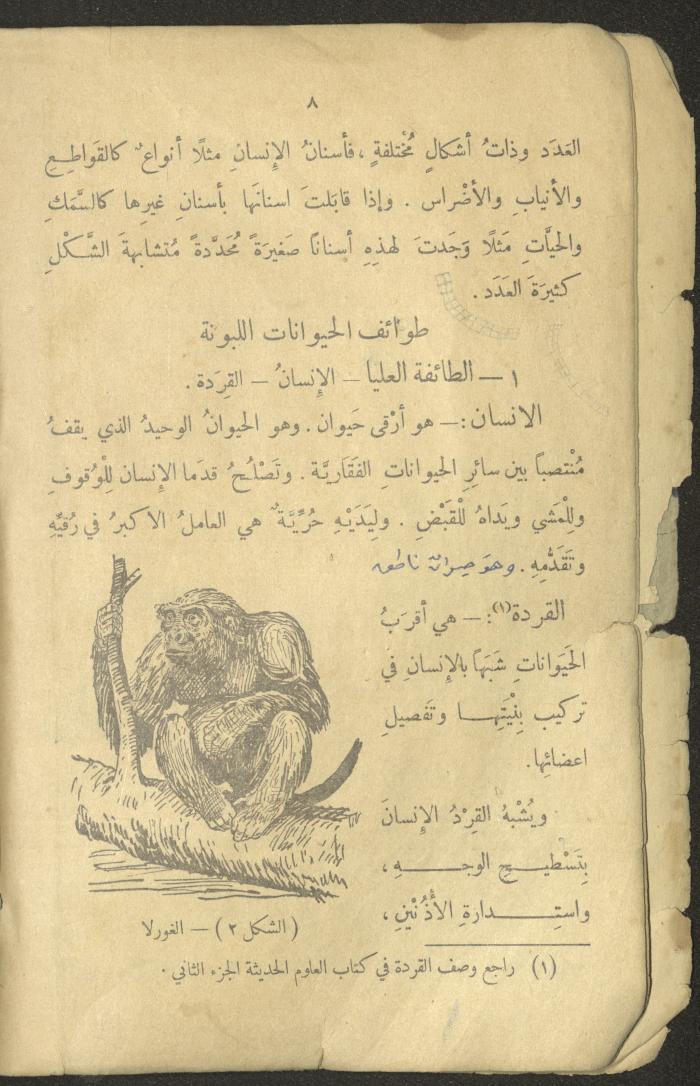 Volume III of the Book 