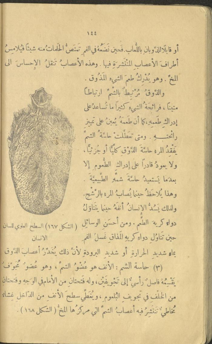 Volume III of the Book 