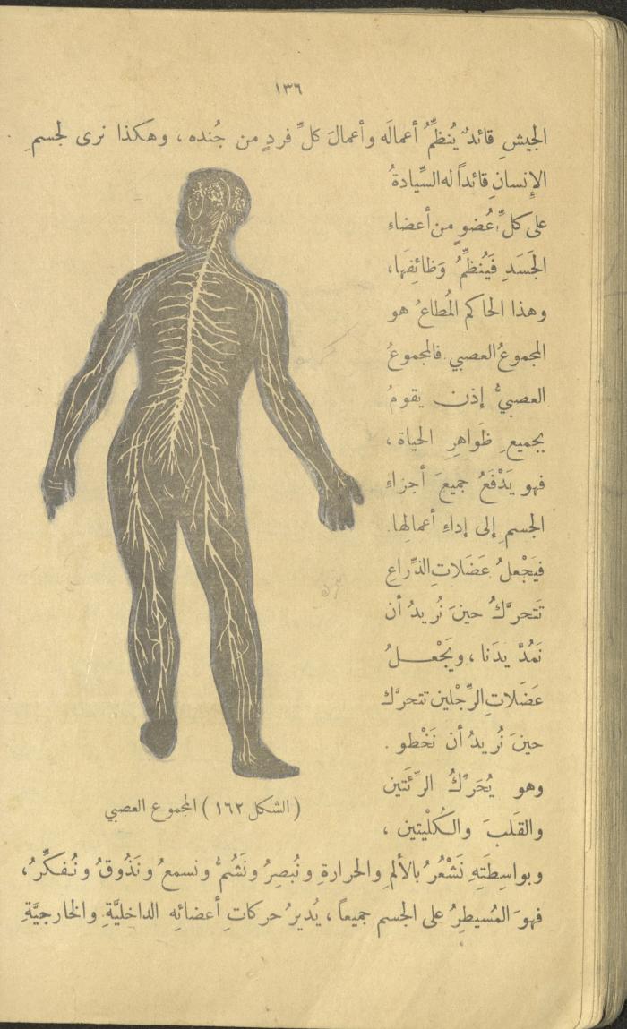Volume III of the Book 