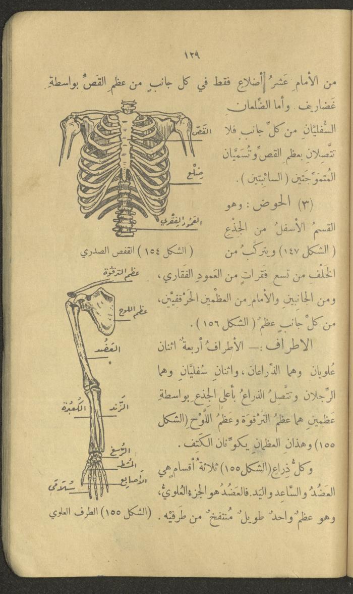Volume III of the Book 