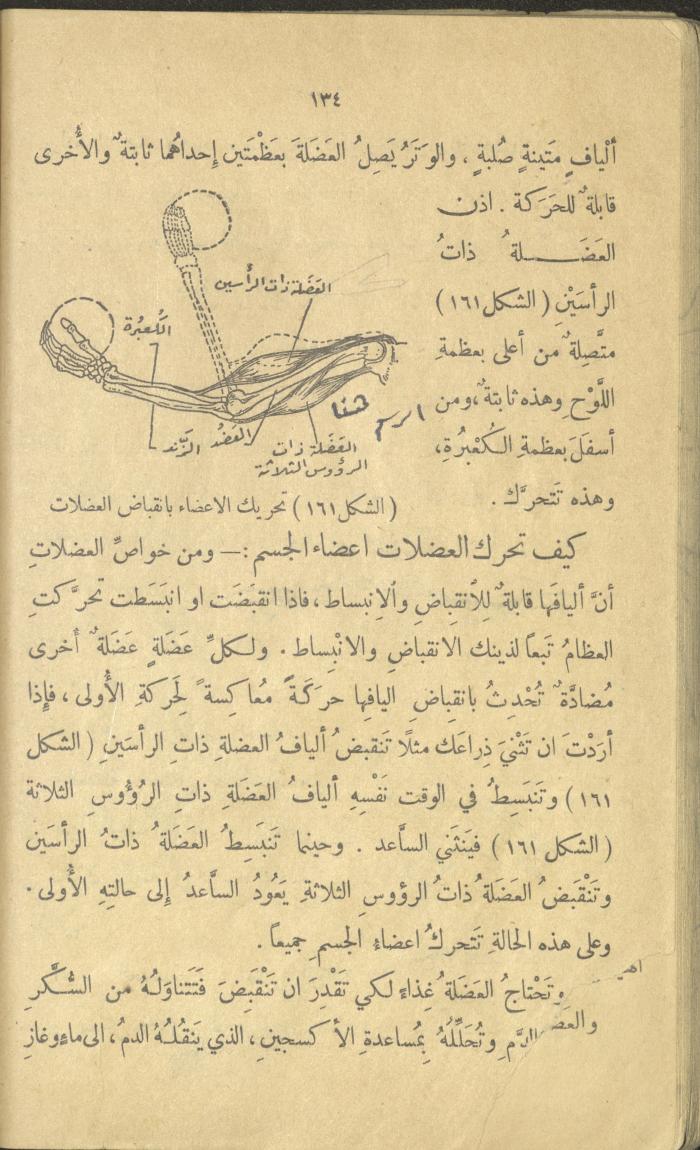 Volume III of the Book 