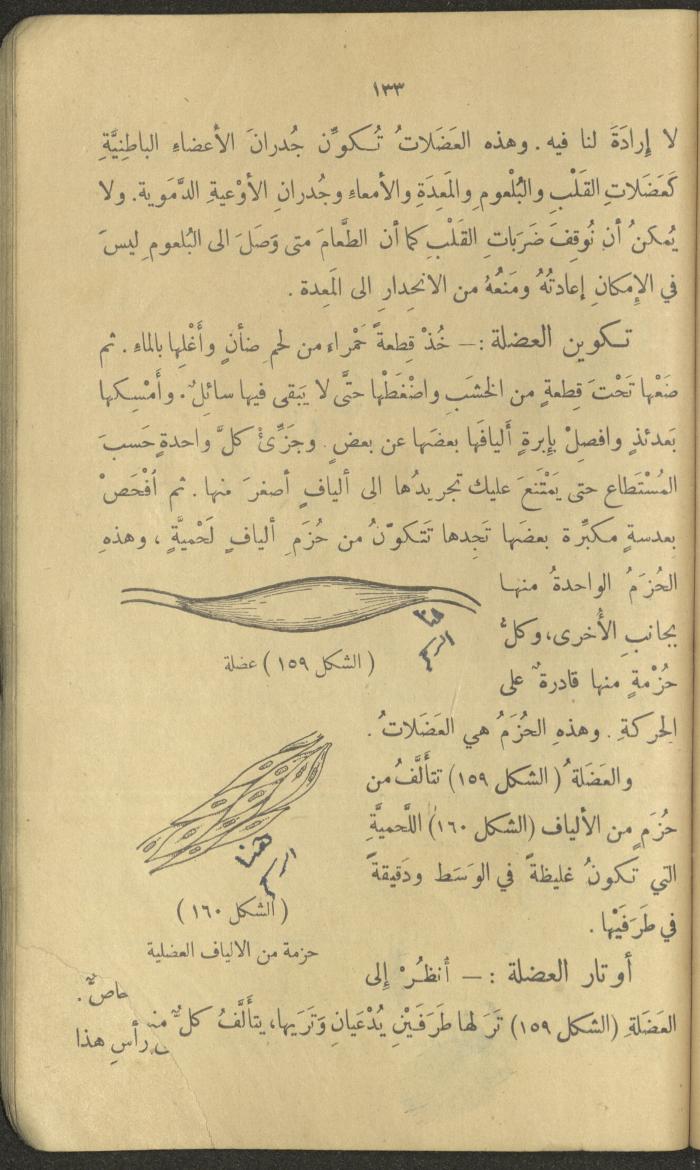 Volume III of the Book 