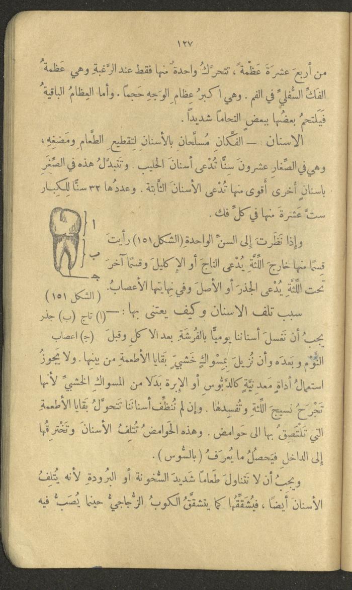 Volume III of the Book 