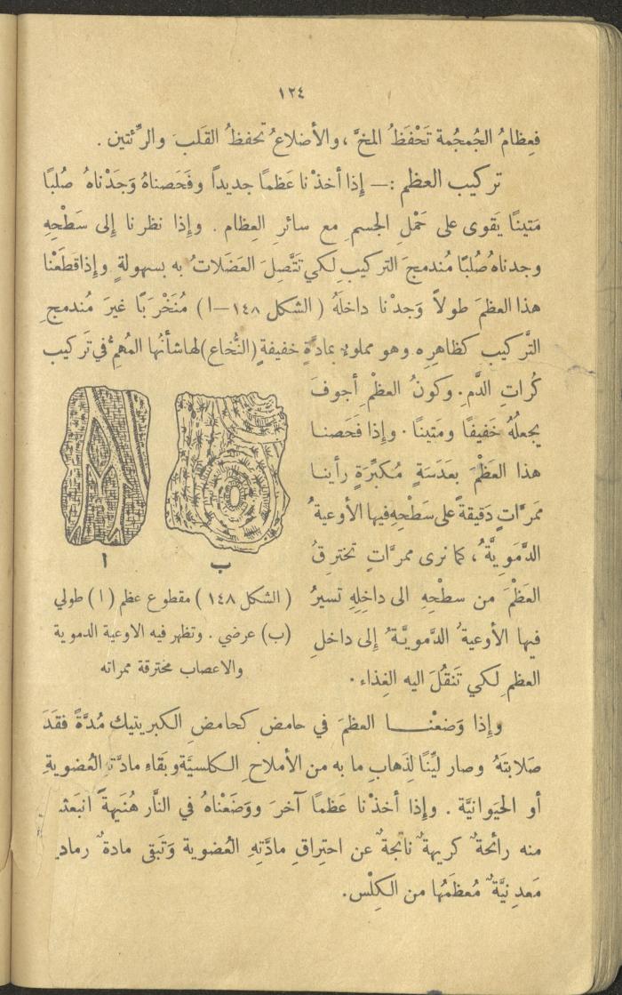 Volume III of the Book 