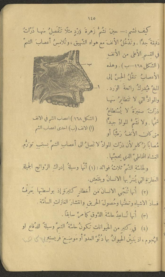 Volume III of the Book 