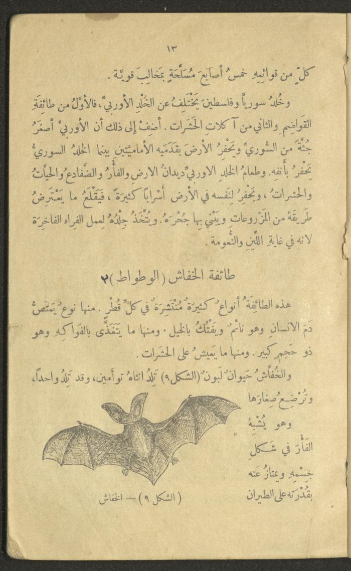 Volume III of the Book 