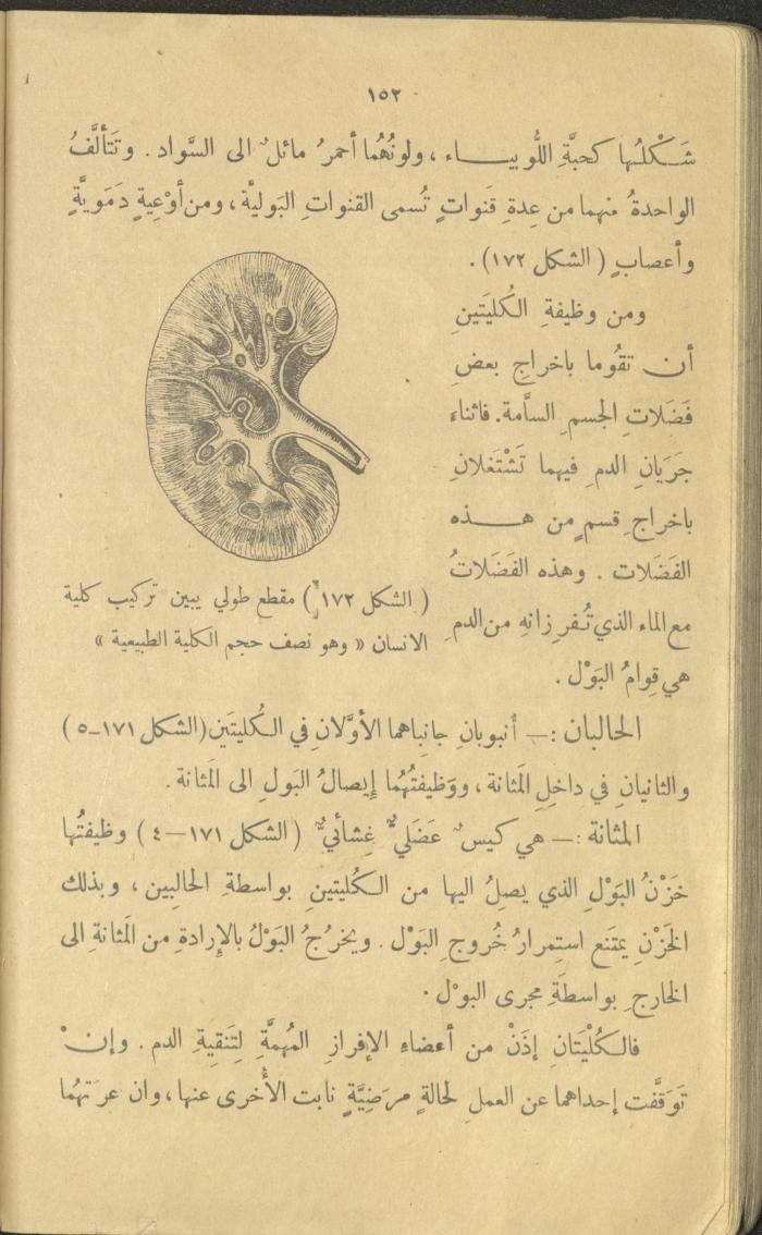 Volume III of the Book 
