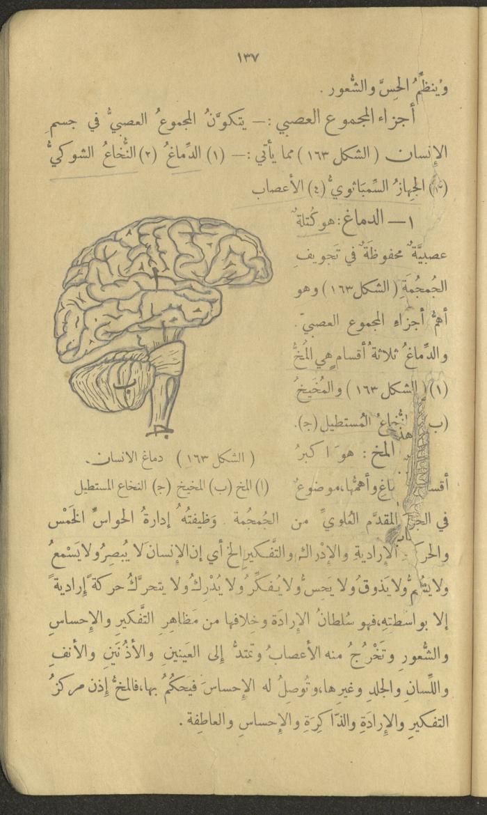 Volume III of the Book 
