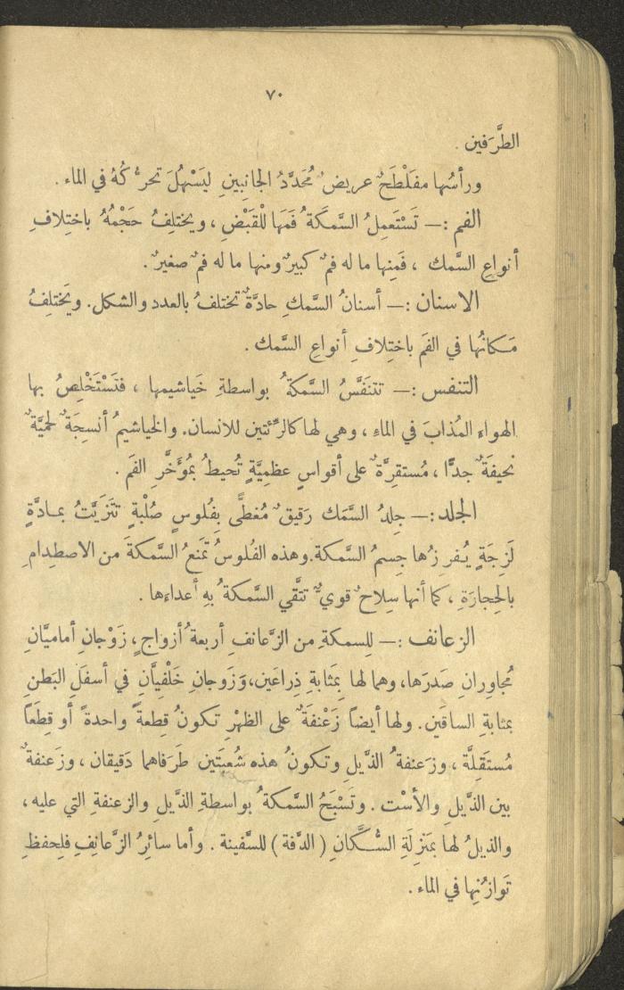 Volume III of the Book 
