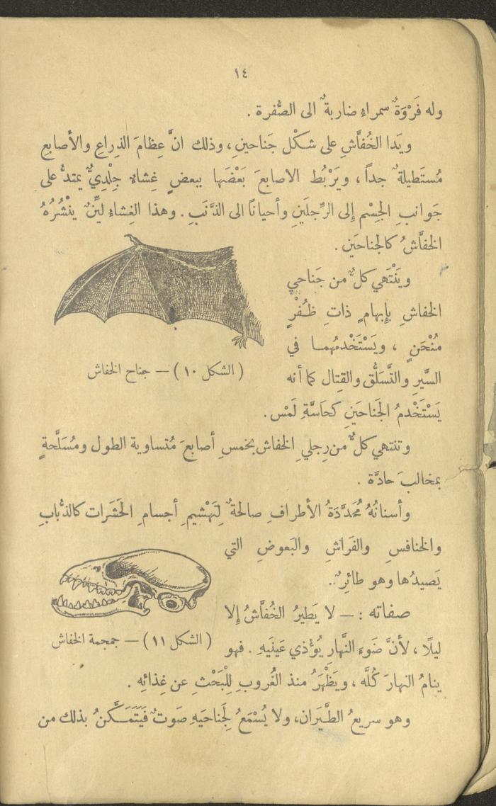 Volume III of the Book 