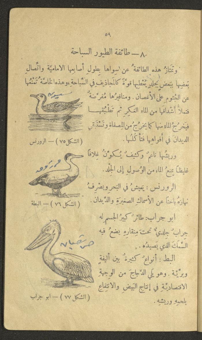 Volume III of the Book 