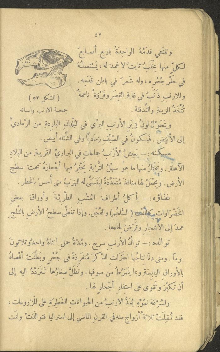 Volume III of the Book 