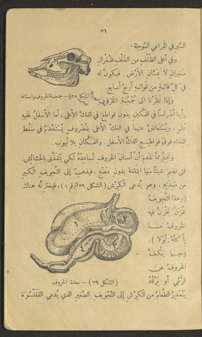 Volume III of the Book 