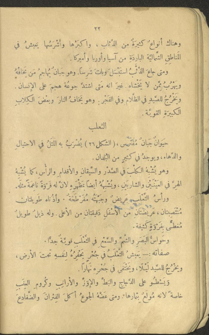Volume III of the Book 