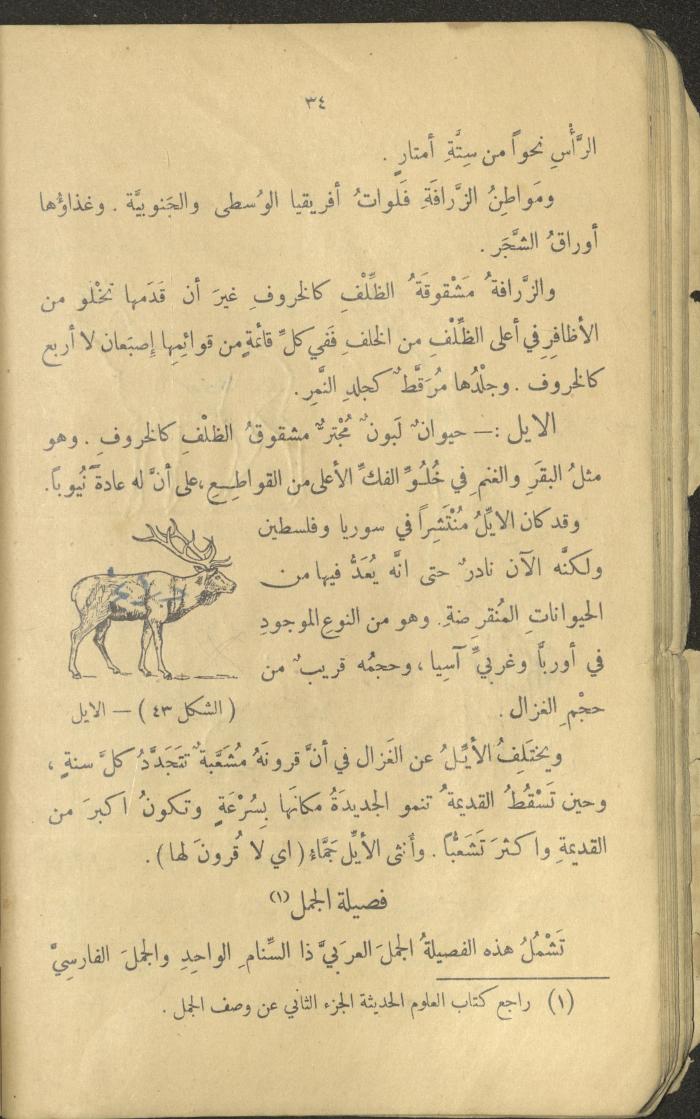 Volume III of the Book 