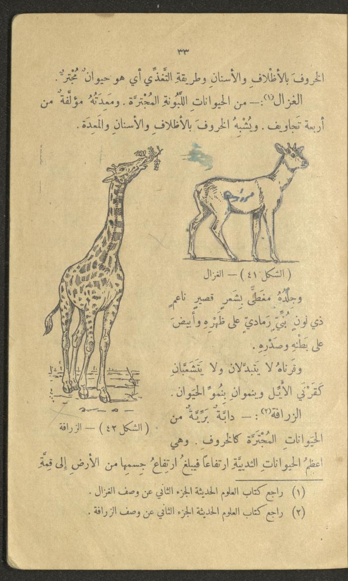 Volume III of the Book 