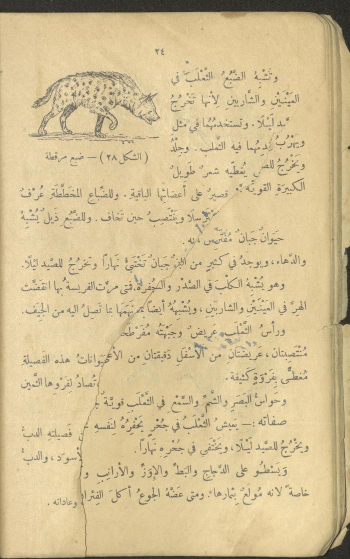Volume III of the Book 