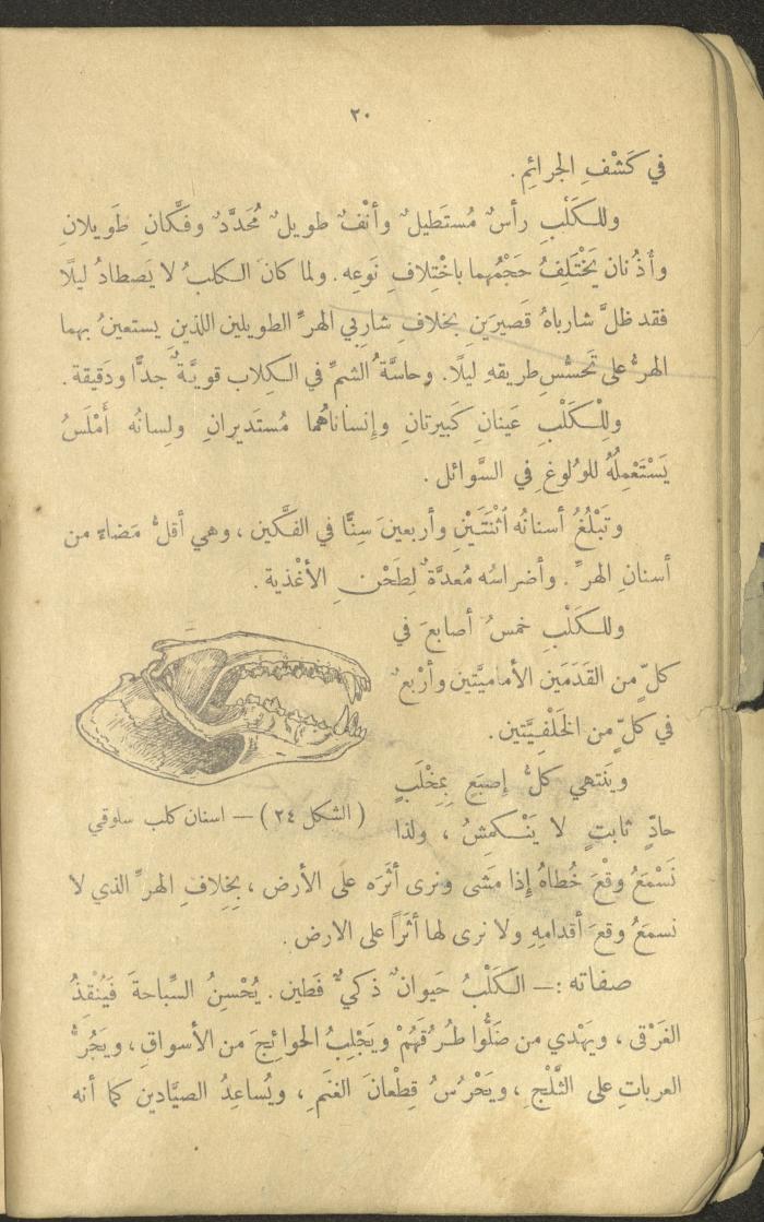 Volume III of the Book 