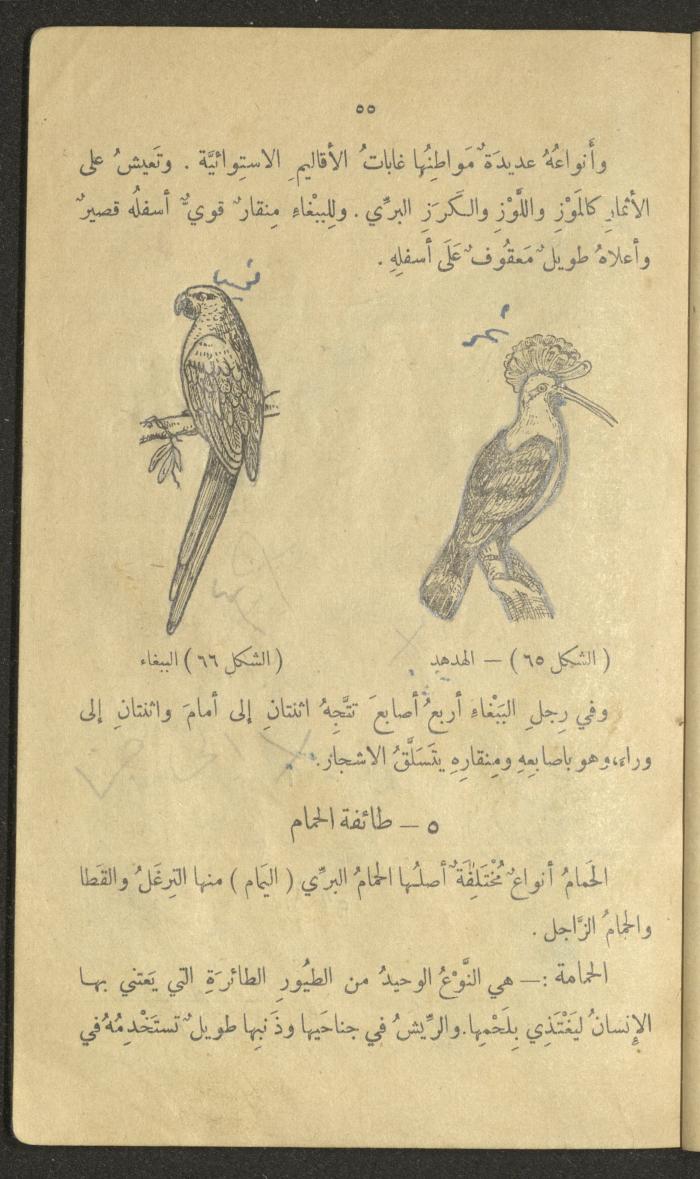 Volume III of the Book 