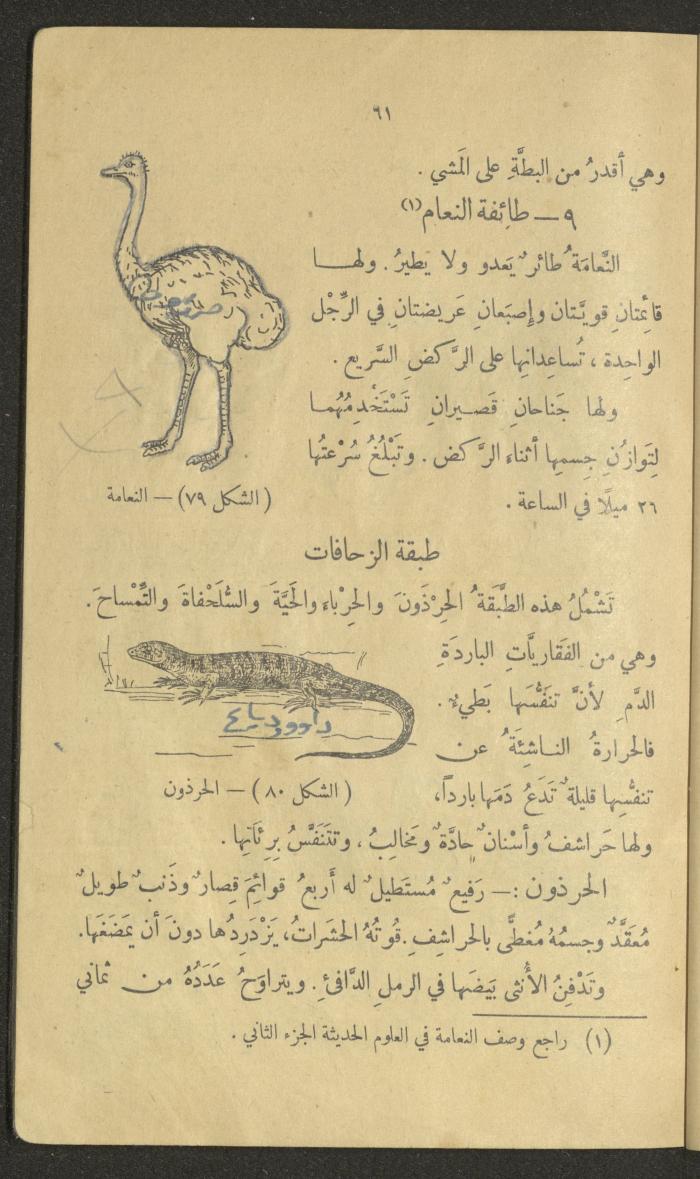 Volume III of the Book 