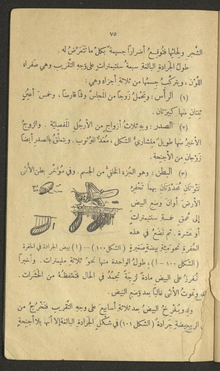 Volume III of the Book 