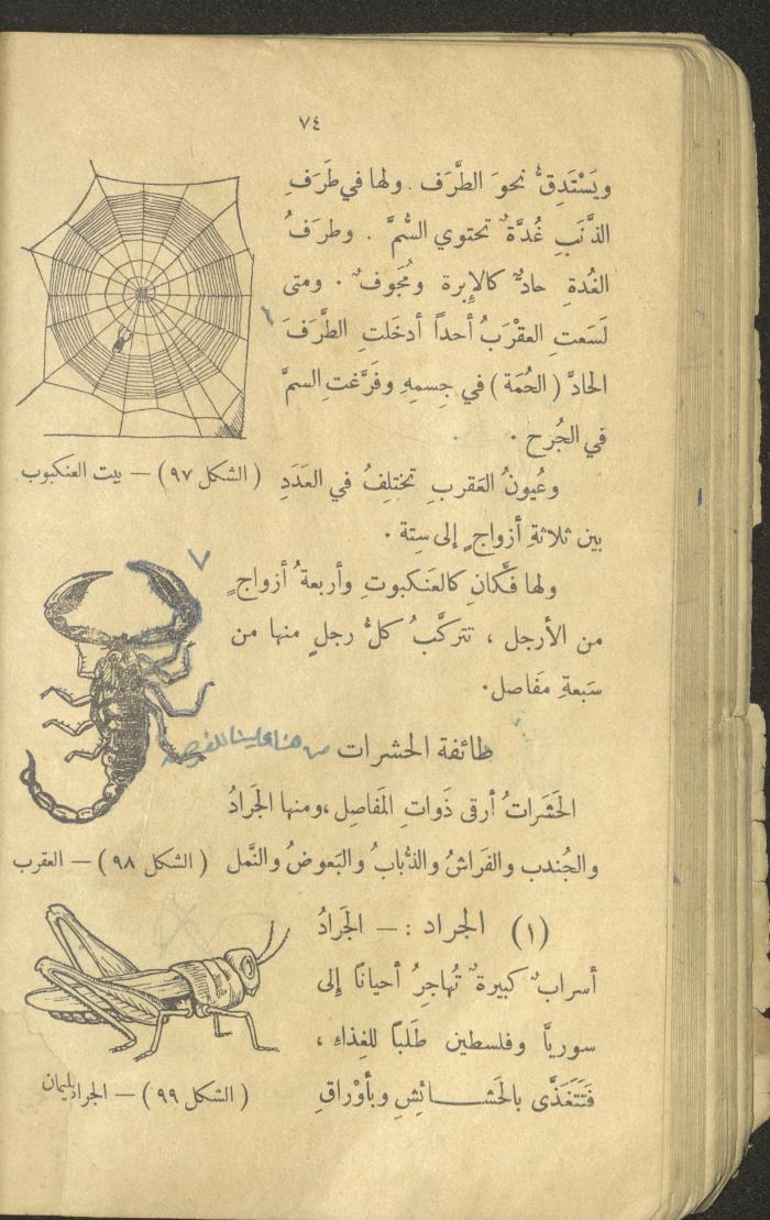 Volume III of the Book 