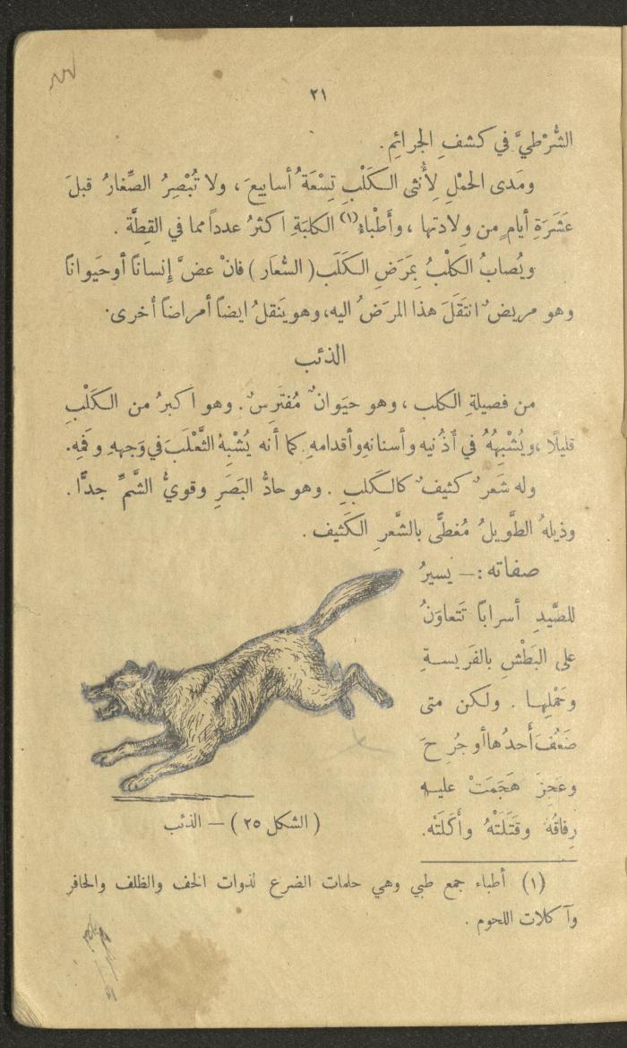 Volume III of the Book 