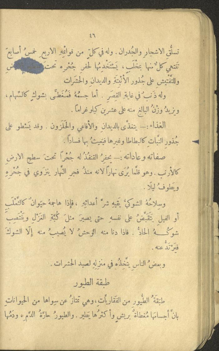 Volume III of the Book 