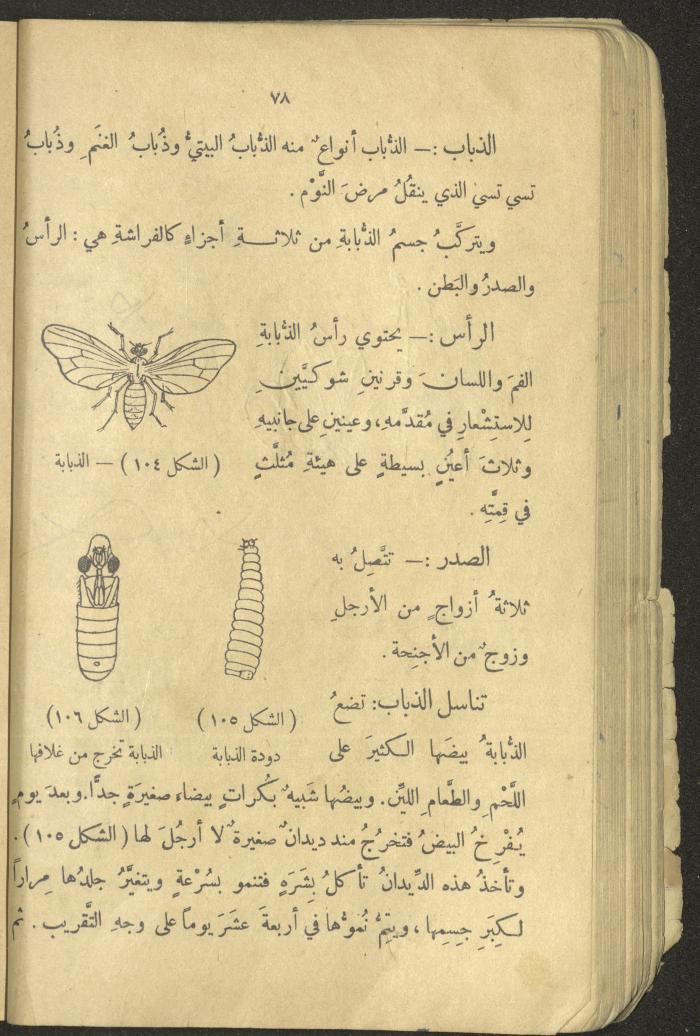 Volume III of the Book 