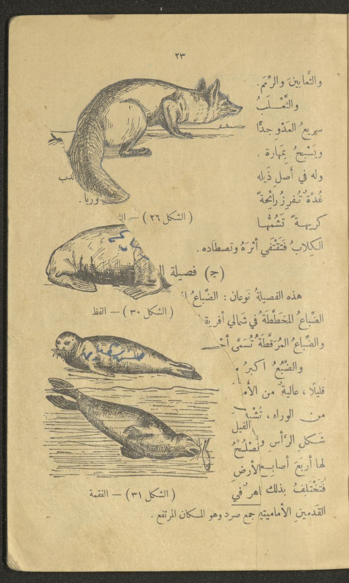 Volume III of the Book 
