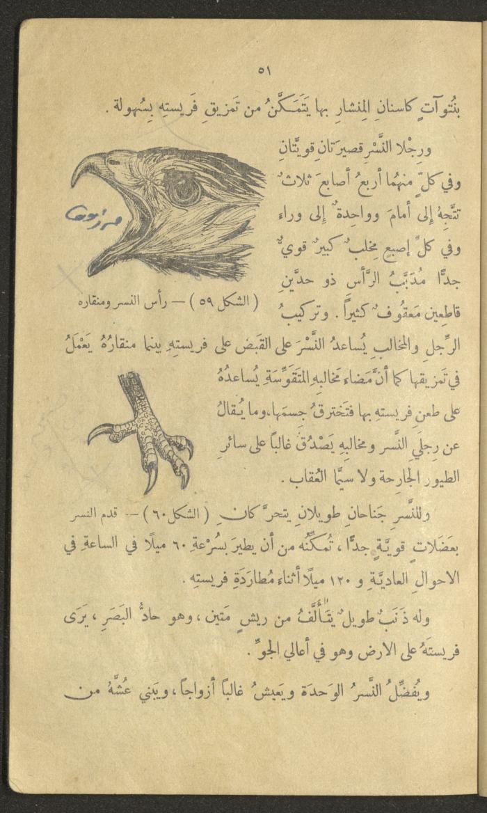 Volume III of the Book 
