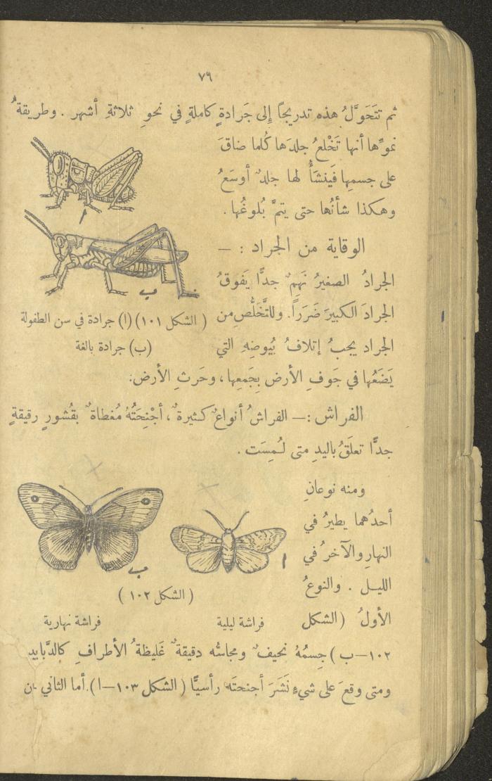 Volume III of the Book 