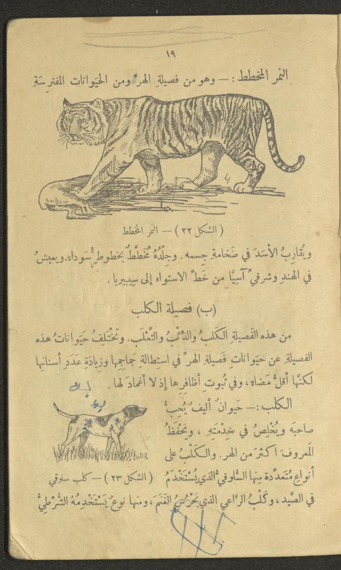 Volume III of the Book 