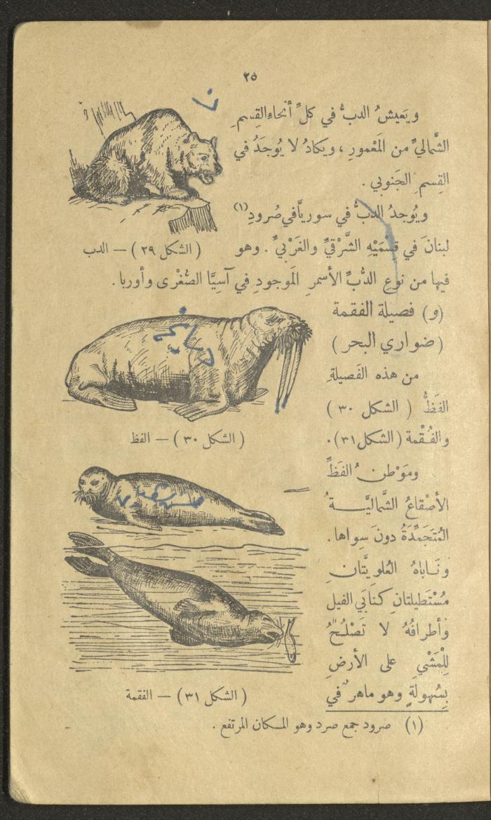 Volume III of the Book 