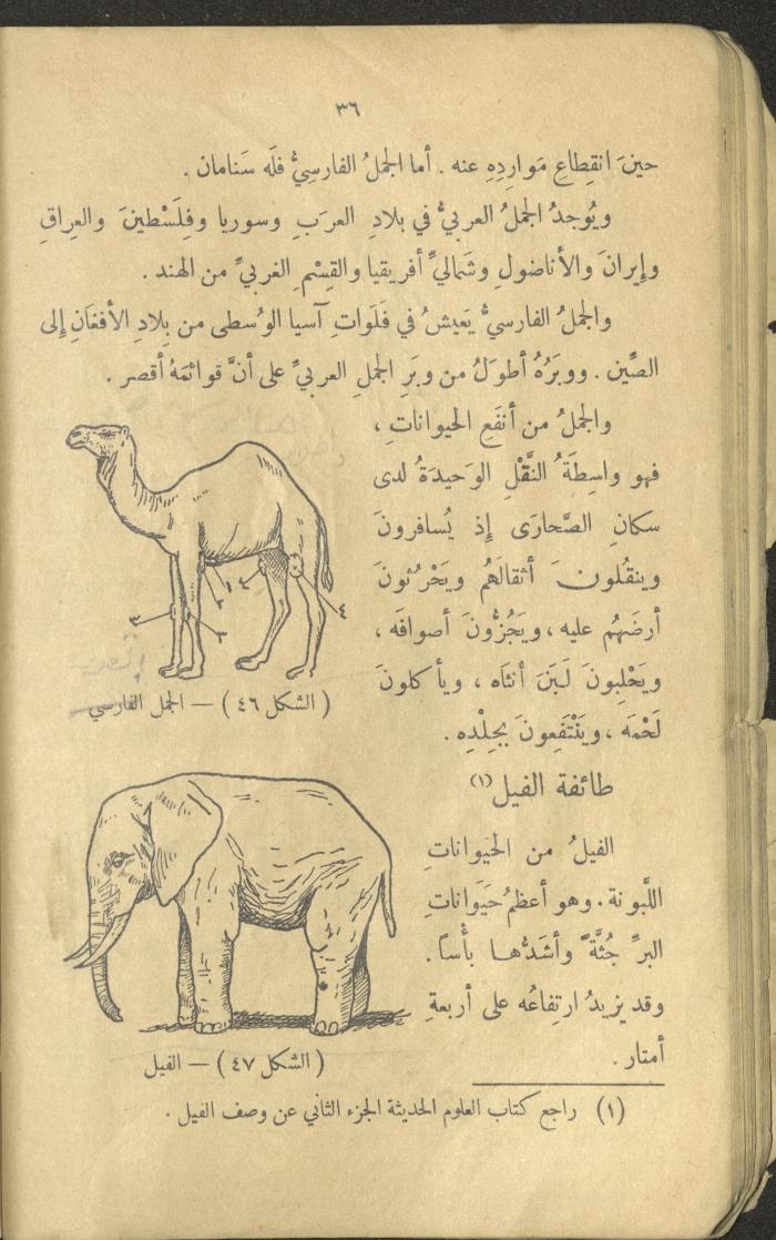 Volume III of the Book 