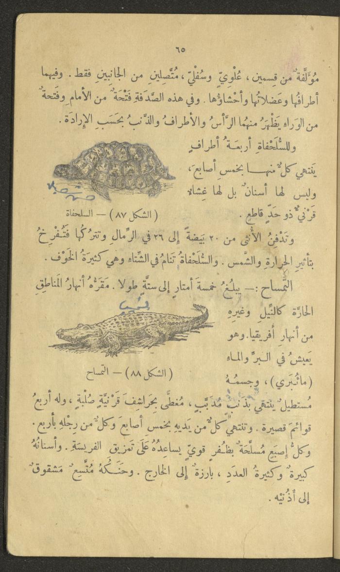 Volume III of the Book 