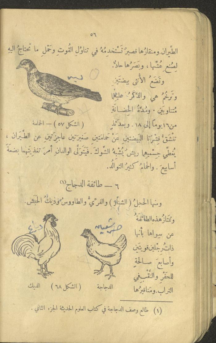 Volume III of the Book 