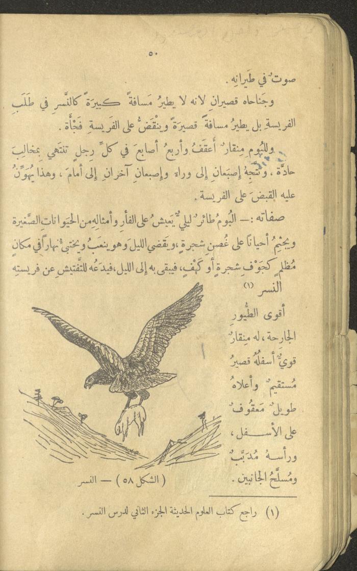 Volume III of the Book 