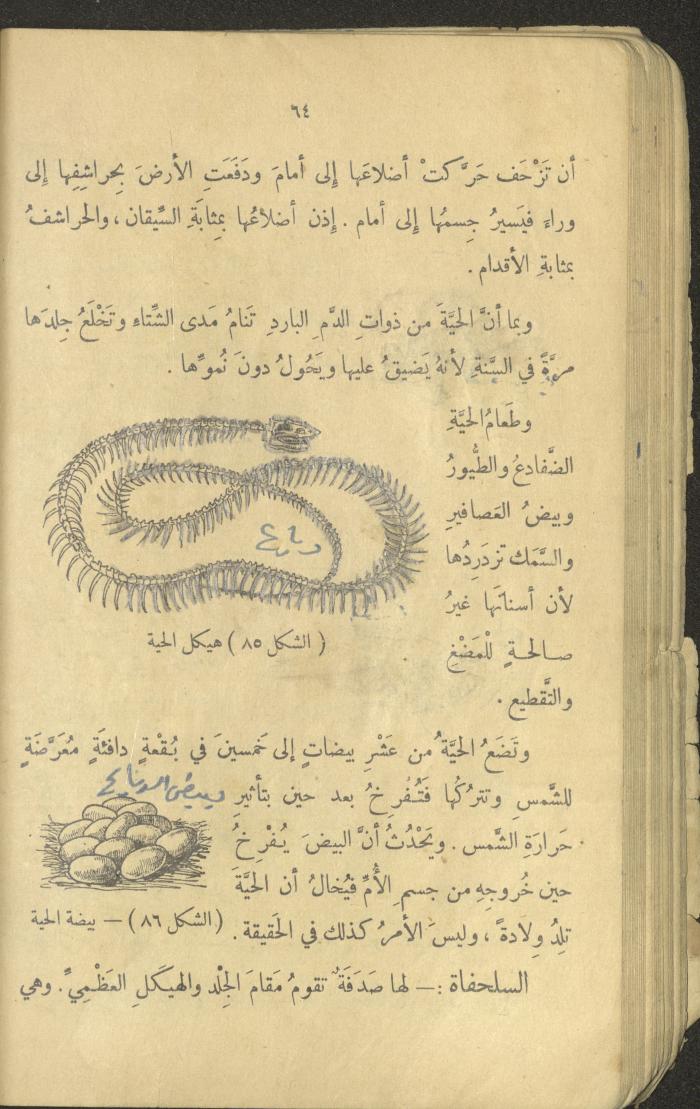 Volume III of the Book 