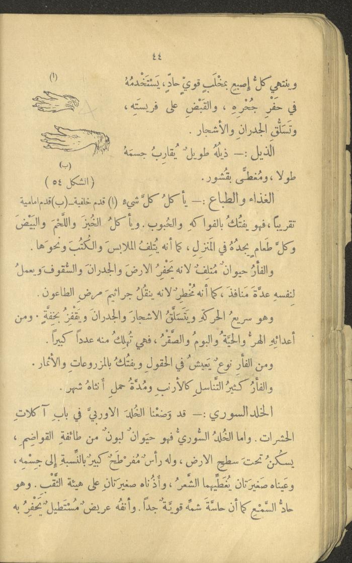 Volume III of the Book 