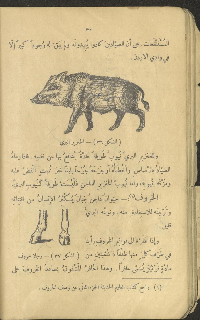 Volume III of the Book 