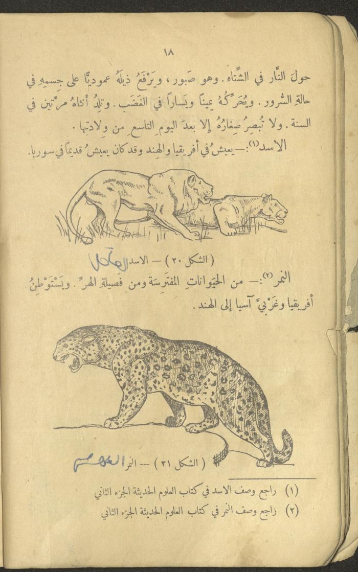 Volume III of the Book 