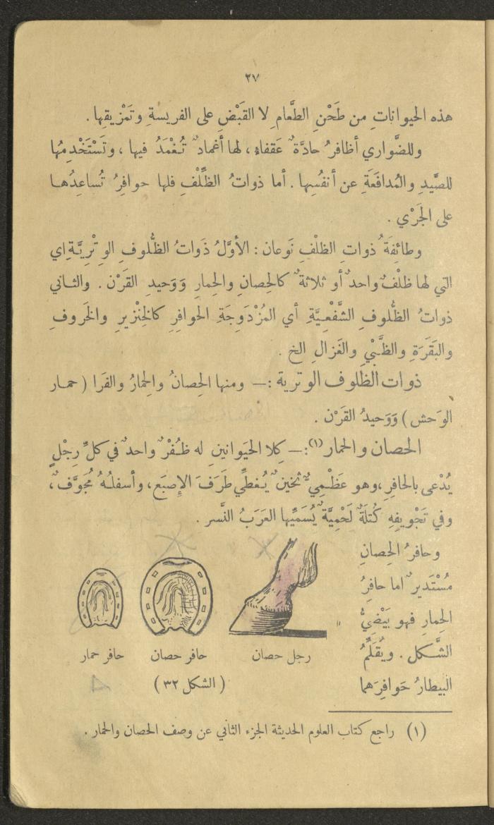 Volume III of the Book 